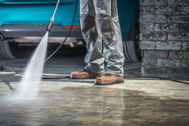Best Graffiti Removal Services in Shady Hollow, TX